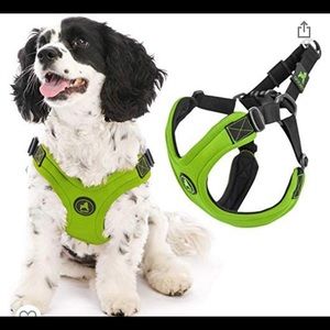 Gooby Escape Free Sports Harness - Lime